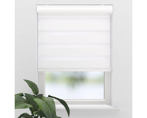 Fenster mit weißem Doppelrollo zur Lichtregulierung