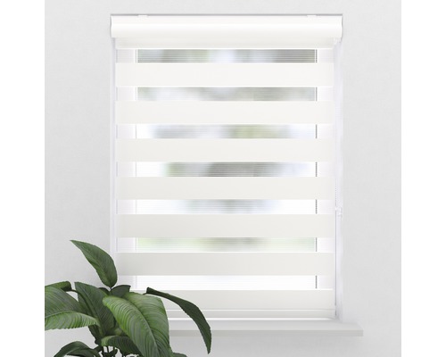 Fenster mit Doppelrollo zur Lichtregulierung