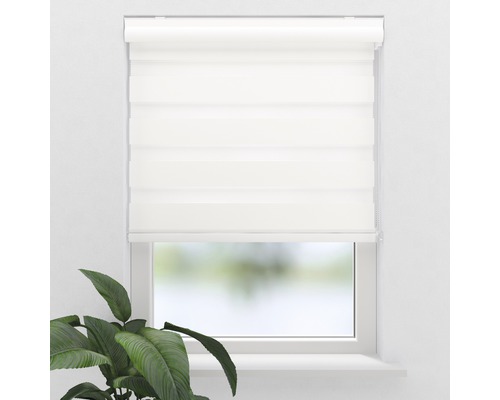 Fenster mit Doppelrollo zur Lichtregulierung