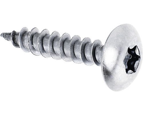 Vis Torx à tête bombée