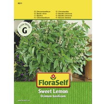 Basilic citron 'Sweet Lemon' FloraSelf semences non-hybrides semences de fines herbes-thumb-0