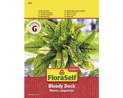 Oseille sanguine 'Bloody Dock' FloraSelf semences non-hybrides semences de salade Plante d''oseille sanguine dans un emballage FloraSelf