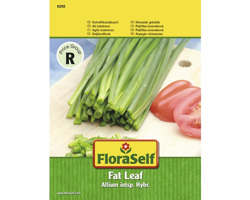 Ciboulette 'Fat Leaf' FloraSelf semences non-hybrides semences de fines herbes FloraSelf Fat Leaf graines de ciboulette tubéreuse