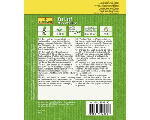 Emballage Fat Leaf Allium pour semis