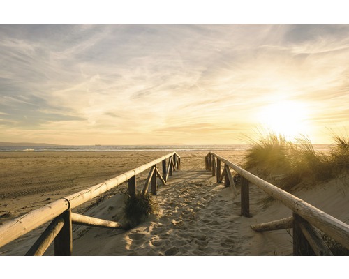 Fototapete Vlies 211065 Sunset Dunes 8-tlg. 400 x 260 cm