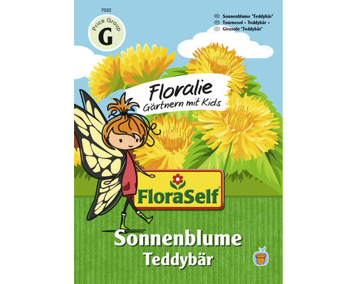 Graines de fleurs FloraSelf Floralie Jardiner avec des enfants tournesols nains «Teddybär»