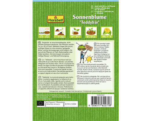 Paquet de graines de tournesol ''Teddybär''