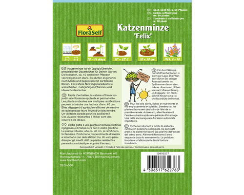 Paquet de graines de cataire Felix