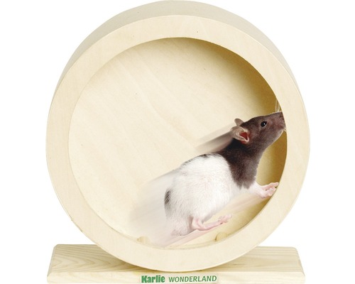 Roue en bois Karlie Bogie Wheel 20 cm, naturel Roue en bois Karlie Bogie Wheel 20 cm, naturel