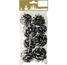 Paquet de pommes de pin décoratives