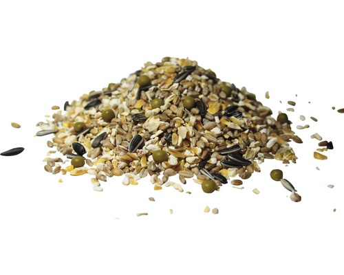 Berg aus Vogelfutter mit Getreide und Sonnenblumenkernen