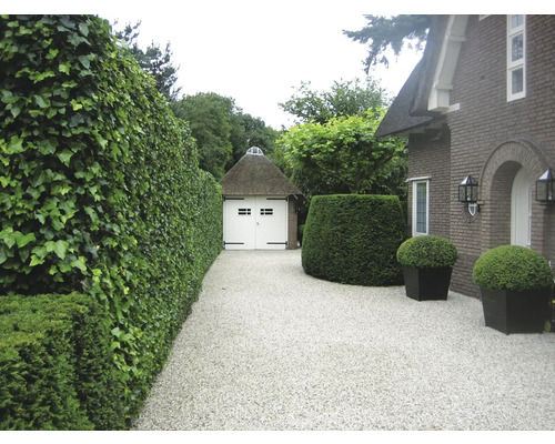 Vue extérieure d''une maison avec des haies, des plantes en pot et un abri de voiture