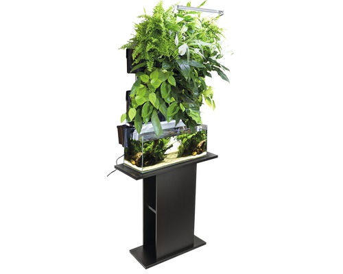 Vertikaler Zimmergarten mit Aquarium und Pflanzenbeleuchtung auf einem schwarzen Podest