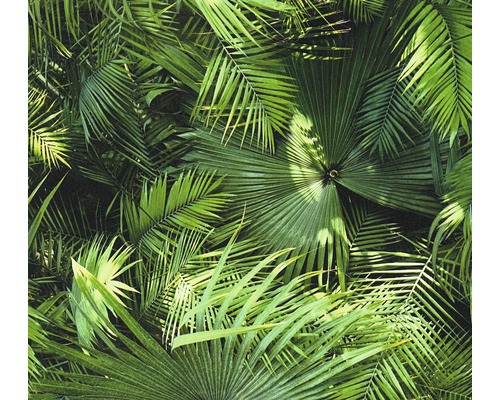 Panneau autocollant Pop.up 36844-1 jungle de palmiers