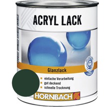 Dose Acryllack Glanzlack