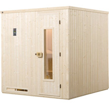 Holz Sauna mit Glastür und Steuerung