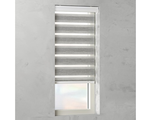 Fenêtre avec store enrouleur duo gris et blanc pour la décoration de fenêtre et le contrôle de la lumière