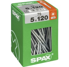 Vis 5 x 120 mm en carton