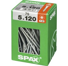 Vis Spax 5 x 120 millimètres dans l’emballage