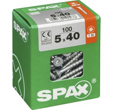 Vis universelles Spax 5x40 millimètres en carton