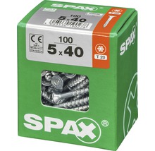 Vis universelles Spax, 5 x 40 millimètres, 100 pièces