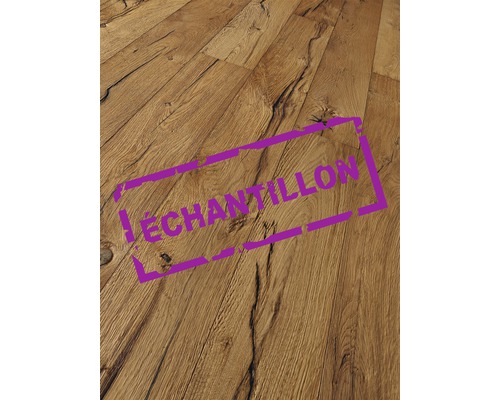 Échantillon parquet 15.0 chêne Elephant Skin plancher de maison de campagne