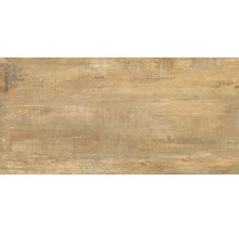 Carrelage pour sol et mur en grès cérame fin Wald miele 31 x 62 cm