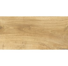 Carrelage pour sol et mur en grès cérame fin Wald miele 31 x 62 cm