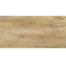 Carrelage pour sol et mur en grès cérame fin Wald miele 31 x 62 cm