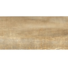 Carrelage pour sol et mur en grès cérame fin Wald miele 31 x 62 cm