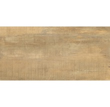Carrelage pour sol et mur en grès cérame fin Wald miele 31 x 62 cm