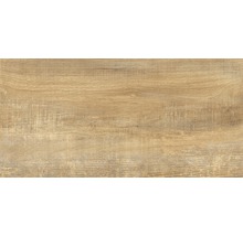 Carrelage pour sol et mur en grès cérame fin Wald miele 31 x 62 cm