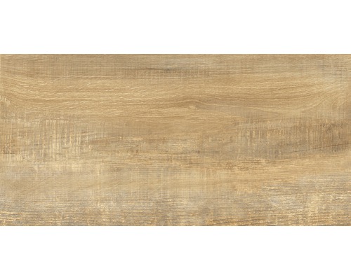 Carrelage pour sol et mur en grès cérame fin Wald miele 31 x 62 cm