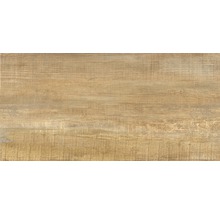 Carrelage pour sol et mur en grès cérame fin Wald miele 31 x 62 cm