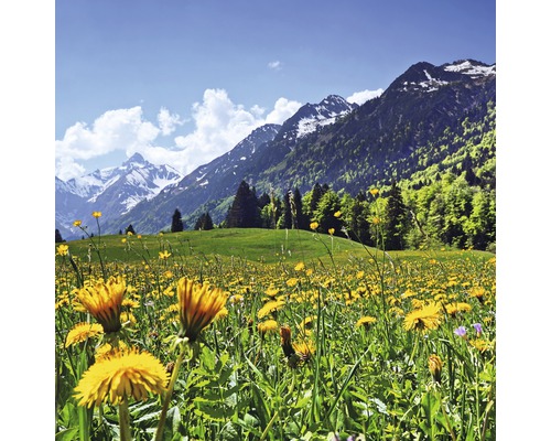 Glasbild Mountain Idyll ll 30x30 cm