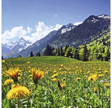 Paysage de prairie avec des pissenlits et un panorama montagneux en arrière-plan