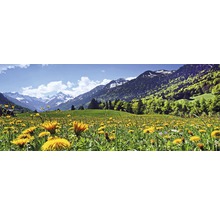 Paysage avec prairie fleurie et panorama montagneux