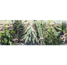 Différentes herbes, liées et disposées sur une planche de bois