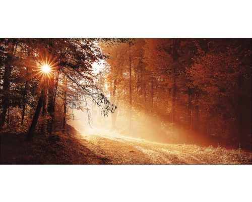 Tableau en métal Autumn Forest ll 100x200 cm