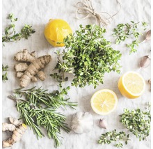 Arrangement de gingembre, romarin, thym, citron et ail sur tissu