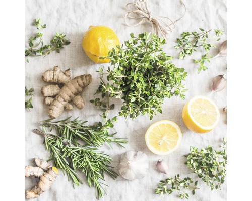 Tableau en verre Cook me V 30x30 cm Arrangement de gingembre, romarin, thym, citron et ail sur tissu