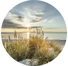 Glasbild rund Wilder Strand Ø 50 cm GLR005