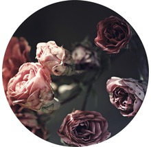 Nahaufnahme von Rosenblüten