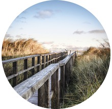 Passerelle en bois à travers un paysage de dunes
