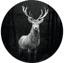 Glasbild rund Grey Deer Head Ø 20 cm GLR025