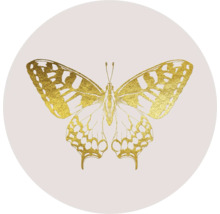 Glasbild rund Golden Butterfly Ø 50 cm GLR029