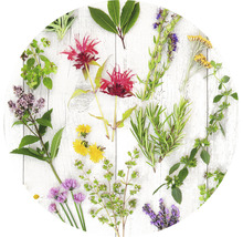 Verschiedene Kräuter und essbare Blüten auf Holzgrund