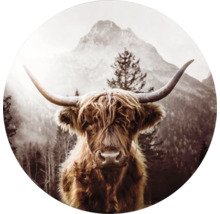 Glasbild rund Highland Cattle Ø 20 cm GLR045