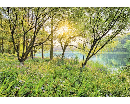 Papier peint panoramique 8-524 VOL 15 Spring Lake 8 pces 368 x 254 cm Scène de forêt ensoleillée avec lac, arbres et végétation luxuriante