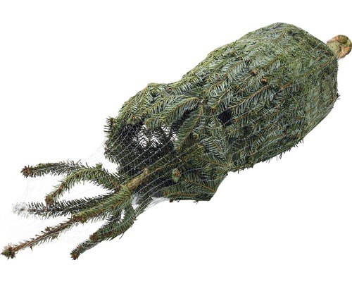 Sapin de Noël emballé dans un filet